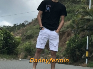 Dannyfermin