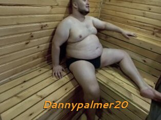 Dannypalmer20