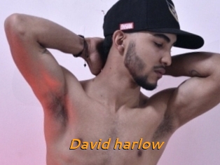 David_harlow