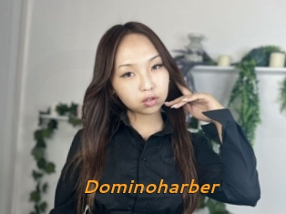 Dominoharber