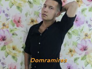 Domramires