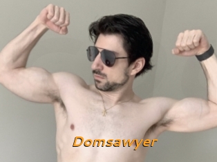 Domsawyer