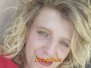 Dragibus