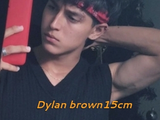 Dylan_brown15cm