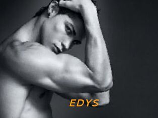EDYS