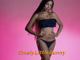 EmelyLittleBunny