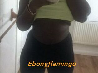 Ebony_flamingo