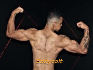 Eddycolt