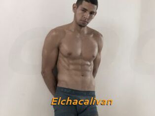 Elchacalivan