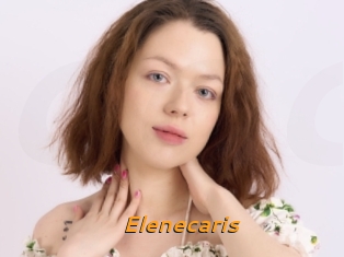 Elenecaris