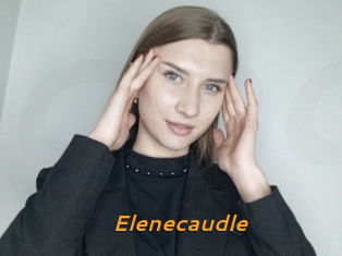 Elenecaudle