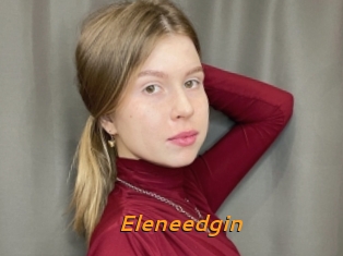 Eleneedgin