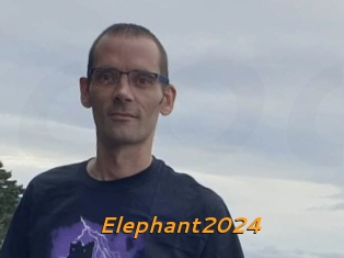 Elephant2024