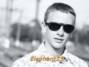 Elephant25