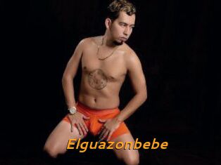 Elguazonbebe