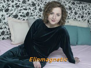 Elinmagnetic