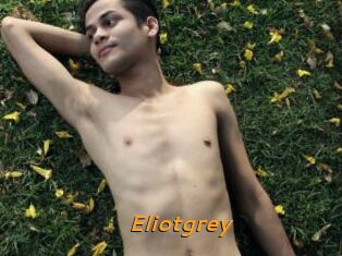 Eliotgrey