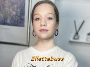 Ellettebuss