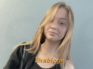 Elvabigge
