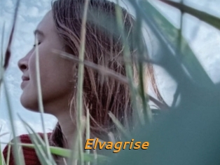 Elvagrise