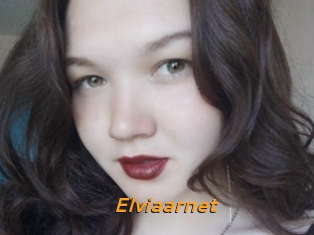 Elviaarnet