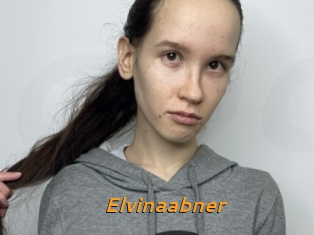Elvinaabner