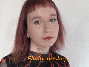 Elwinebuskey
