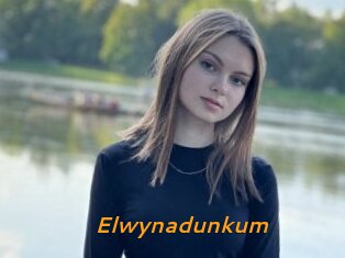 Elwynadunkum