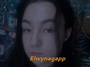 Elwynagapp
