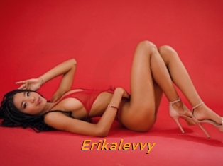 Erikalevvy