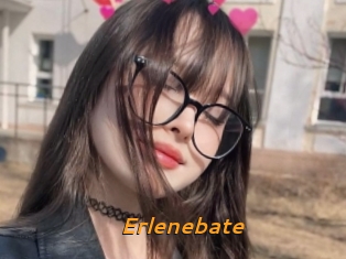 Erlenebate