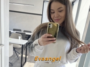Evaangel
