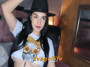 Evagollife