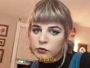 Evalix