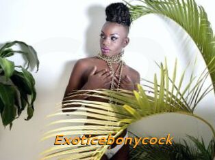 Exoticebonycock