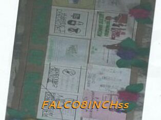 FALCO8INCHss