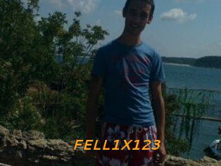 FELL1X123