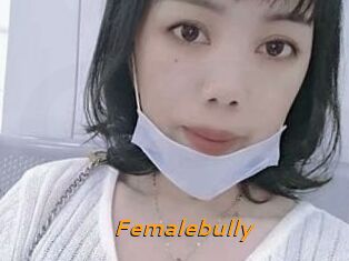 Femalebully