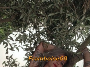 Framboise68