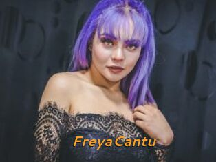 FreyaCantu
