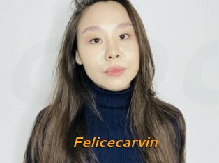 Felicecarvin