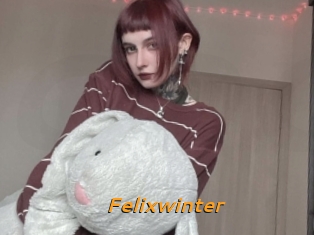 Felixwinter