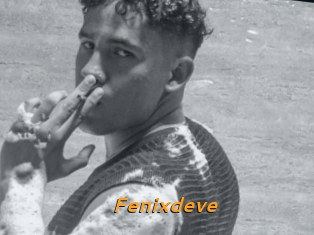 Fenixdeve