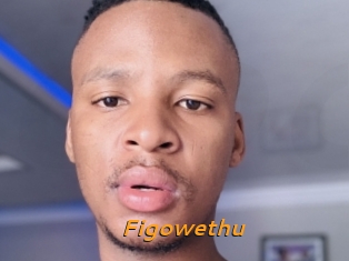 Figowethu