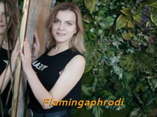 Flamingaphrodi