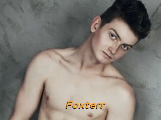 Foxterr
