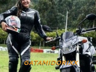 GATAMIDORIXX