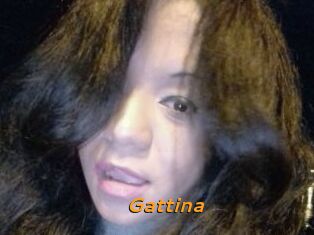 Gattina