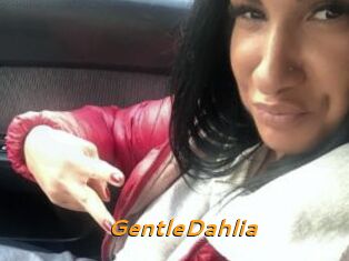 GentleDahlia