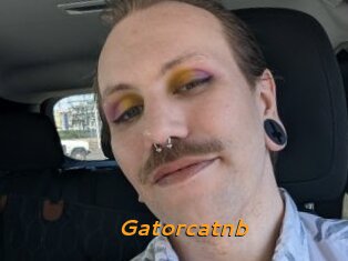 Gatorcatnb